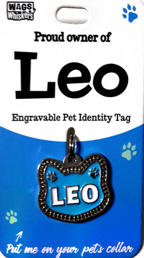 Picture of LEO CAT BLANK ID TAG